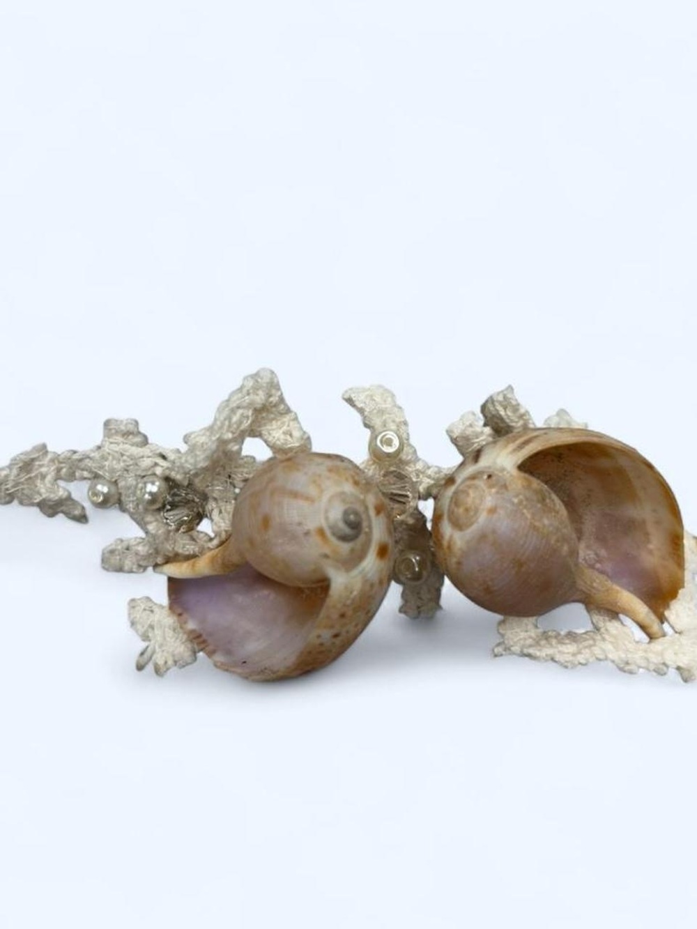 Seashell Hair Clip with Pearls, Beads, and Lace